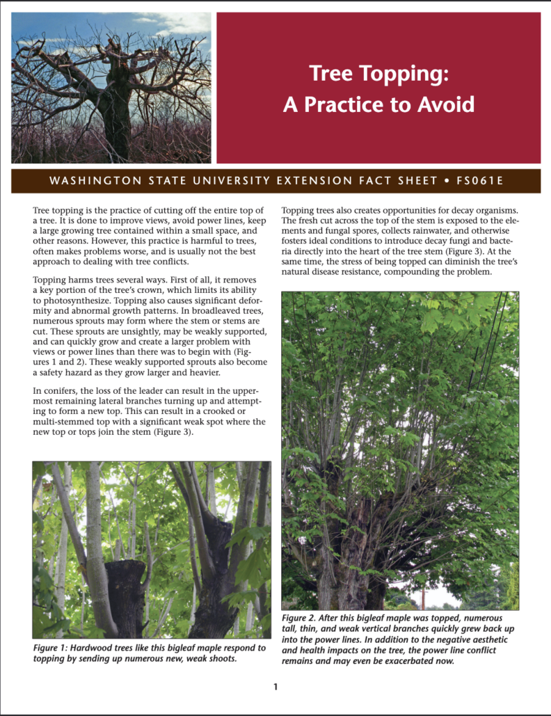 WSU Fact Sheet Cover - Tree Toping a Practice to Avoid